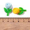 Resin Cabochon CRES-I033-07-3