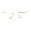 316 Surgical Stainless Steel Earring Hooks LS-X-STAS-P307-07G-3