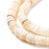 Shell Beads Strands SSHEL-E571-49I-5