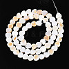 Natural Freshwater Shell Beads Strands SHEL-N026-67A-2