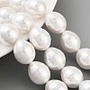 Electroplated Shell Pearl Beads Strands BSHE-H110-01-03-3