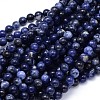 Round Natural Sodalite Beads Strands G-F222-39-12mm-1