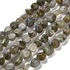 Natural Labradorite Beads Strands G-P497-01E-47-1