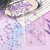 Resin Cabochons Sets RESI-TA0003-57-6