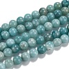 Natural Amazonite Beads Strands Grade A+ G-J388-01-4