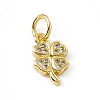 Brass Micro Pave Cubic Zirconia Charms ZIRC-F132-35G-1