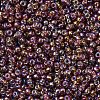 MIYUKI Round Rocailles Beads SEED-JP0008-RR1005-4