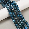 Natural Apatite Beads Strands G-I254-08D-5