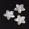 Natural White Shell Mother of Pearl Shell Pendants SSHEL-G014-60-1