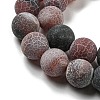 Natural Weathered Agate Beads Strands G-P538-A01-01-4