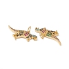 Rack Plating Brass Micro Pave Colorful Cubic Zirconia Pendants ZIRC-C040-48D-G-3