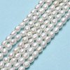 Natural Cultured Freshwater Pearl Beads Strands PEAR-J006-08C-01-2