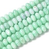 Natural Freshwater Shell Beads Strands SSHEL-C013-07D-1