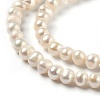 Natural Cultured Freshwater Pearl Beads Strands PEAR-L033-03-2