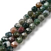 Natural Indian Agate Beads Strands G-C039-E01-1