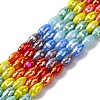 Electraoplate & Gradient Color Glass Beads Strands LAMP-M023-04B-1