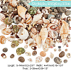   300G 15 Styles Natural Mixed Shell Beads SSHEL-PH0001-24-2