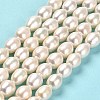 Natural Cultured Freshwater Pearl Beads Strands PEAR-E016-193-2