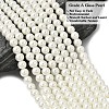 Eco-Friendly Dyed Glass Pearl Beads Strands HY-A008-6mm-RB002-2