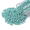 TOHO Round Seed Beads X-SEED-TR08-0413F-2