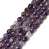 Natural Amethyst Beads Strands G-K376-F03-01-2