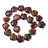Natural Brecciated Jasper Beads Strands G-C220-E02-20mm-5