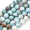 Natural Larimar Beads Strands G-C264-A01-12mm-2