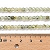 Natural Prehnite Beads Strands G-B107-E01-02-5