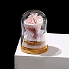 Arch Glass Jar Display Decorations with Natural Rose Quartz Bouquet Inside PW-WG72796-01-1