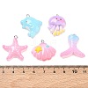 Opaque Resin with Alloy Pendants RE-CBA14F0-02-3