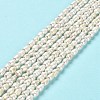 Natural Cultured Freshwater Pearl Beads Strands PEAR-E016-151-2