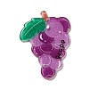 Acrylic Pendants LS-OACR-R270-03C-1