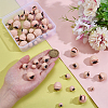 24 Pairs 6 Styles 3D ABS Doll Craft Cartoon Movable Eye FIND-PH0028-13A-3