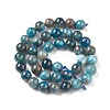 Natural Apatite Beads G-E481-05-10mm-01-3