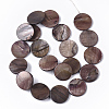 Freshwater Shell Beads Strands X-SHEL-T014-011A-2