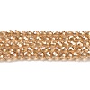 Transparent Electroplate Glass Beads Strands GLAA-H021-01A-PL01-2