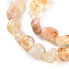 Natural Lodolite Quartz Beads Strands G-P497-01C-28-4