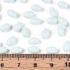 Baking Paint Glass Seed Beads SEED-T007-15K-4