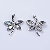 Abalone Shell/Paua Shell Pendants X-SSHEL-L008-07P-3