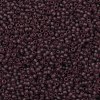 TOHO Round Seed Beads SEED-JPTR11-0006BF-2