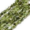 Natural Peridot Beads Strands G-P601-A01-01-2