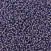 TOHO Round Seed Beads SEED-JPTR11-2124-2