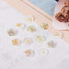 30Pcs 5 Colors Transparent Resin Cabochons RESI-CJ0001-186-7