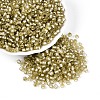 Silver Lined Glass Seed Beads SEED-T007-18A-05-1