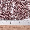 MIYUKI Delica Beads SEED-X0054-DB1167-4