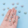 Alloy Rhinestone European Beads Set CPDL-PH0001-01-3