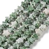 Natural Green Spot Jasper Beads Strands G-G085-B55-02-2