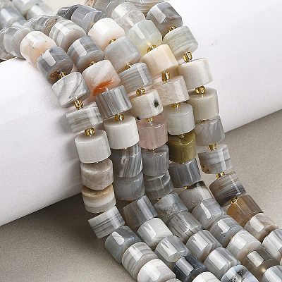 Natural Botswana Agate Beads Strands G-K245-C17-1