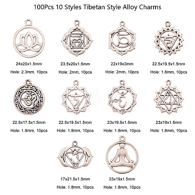 100Pcs 10 Styles Tibetan Style Alloy Pendants TIBEP-CJ0001-50-1