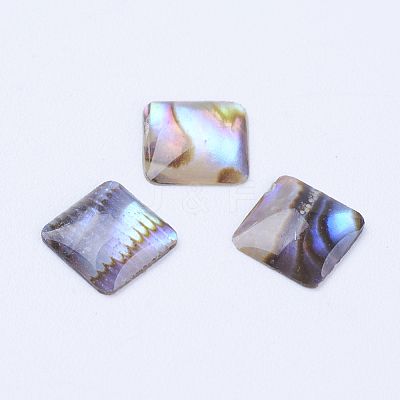 Natural Paua Shell Cabochons SSHEL-F301-25-1